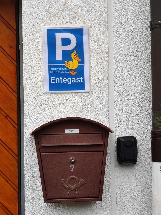 Apartment Entegast Schopfheim Ngoại thất bức ảnh
